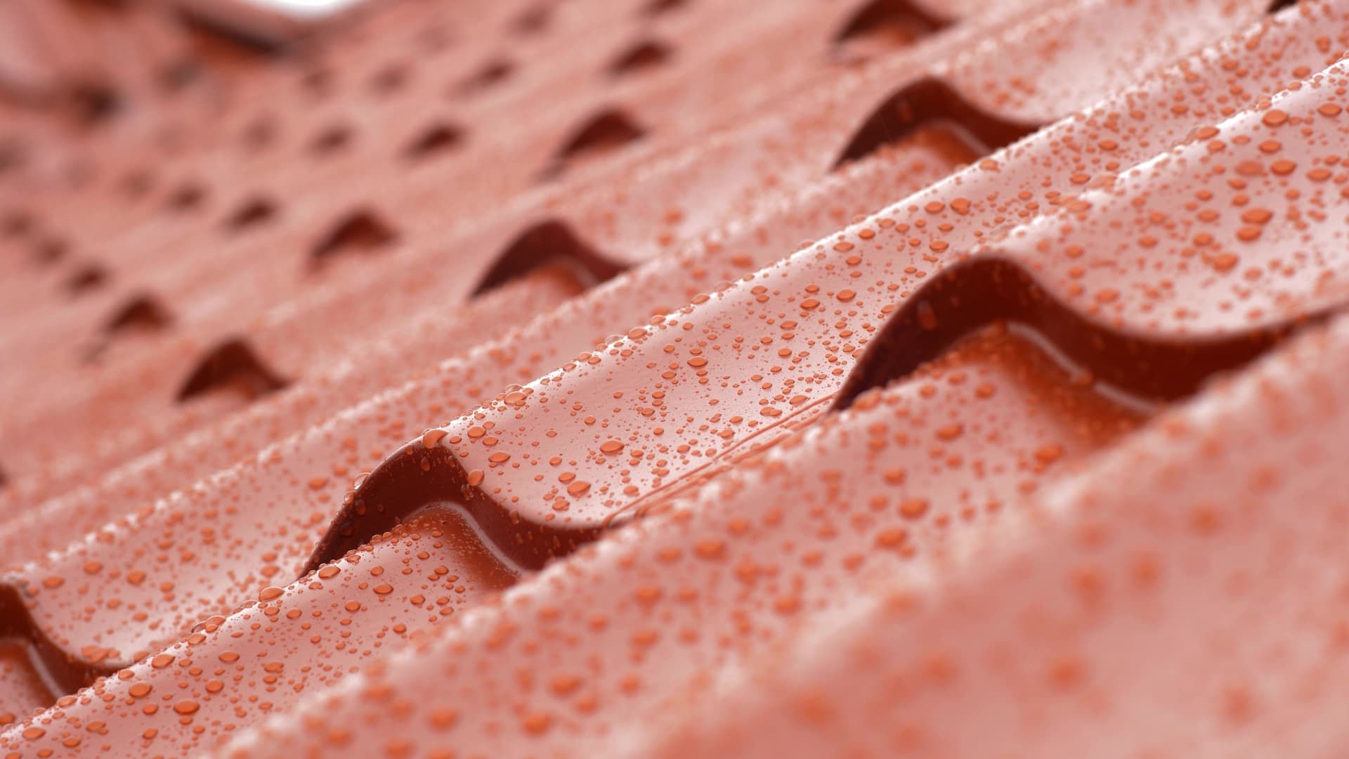 Leak Detection & Roof Surveys